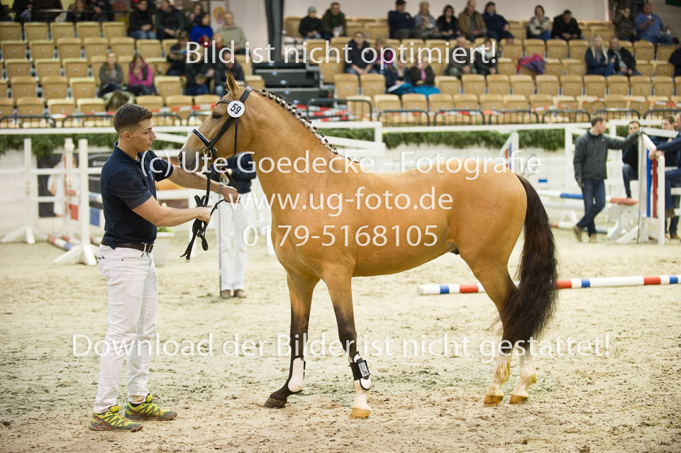 Steendieks-Durty-Dancing-_01.jpg