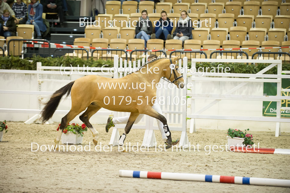Steendieks-Durty-Dancing-_03.jpg