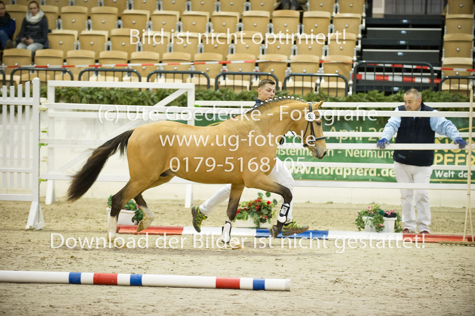 Steendieks-Durty-Dancing-_04.jpg