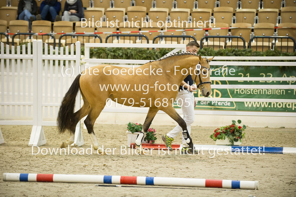 Steendieks-Durty-Dancing-_06.jpg