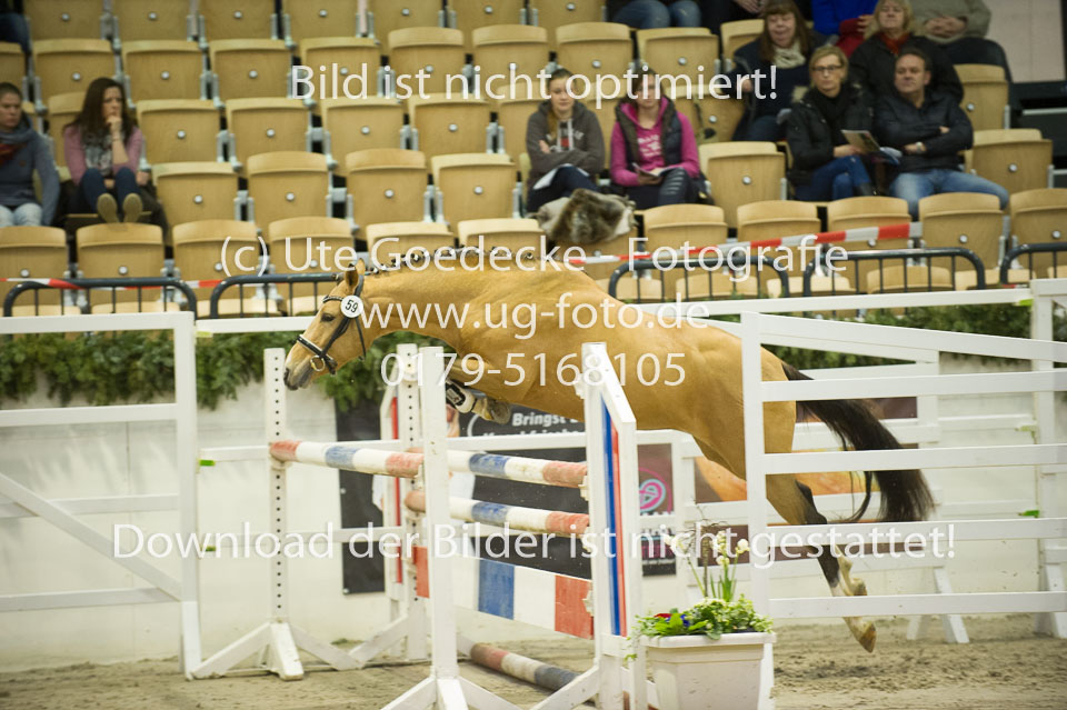 Steendieks-Durty-Dancing-_07.jpg