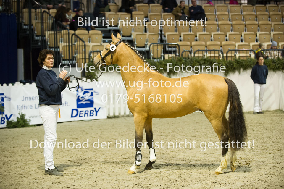 Steendieks-Durty-Dancing-_10.jpg