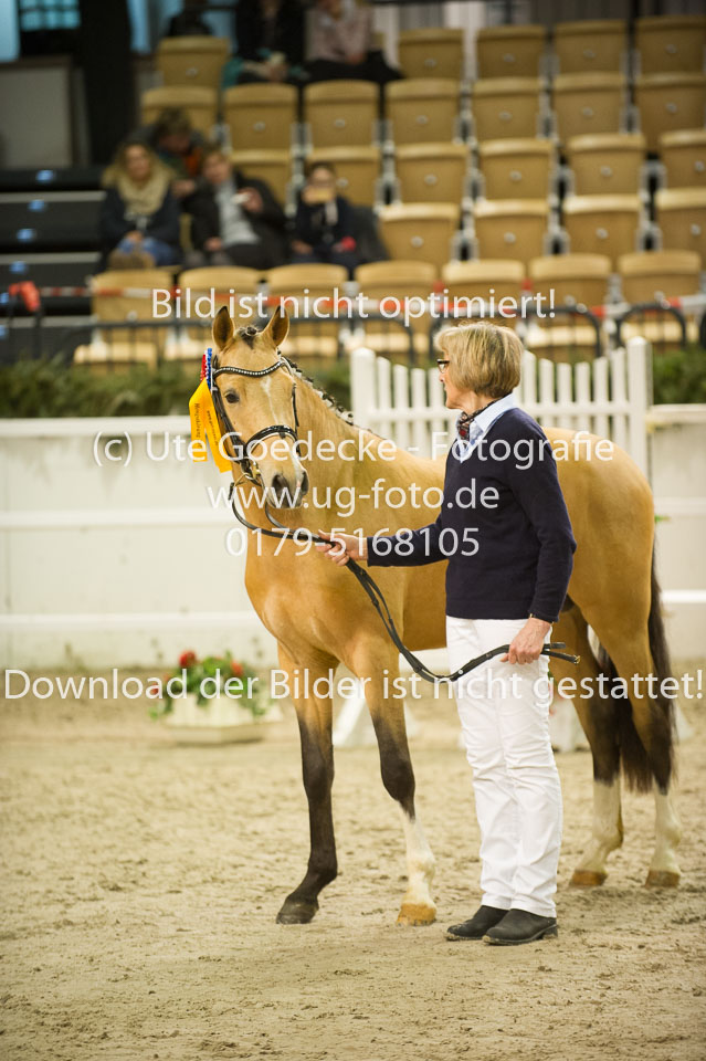 Steendieks-Durty-Dancing-_11.jpg