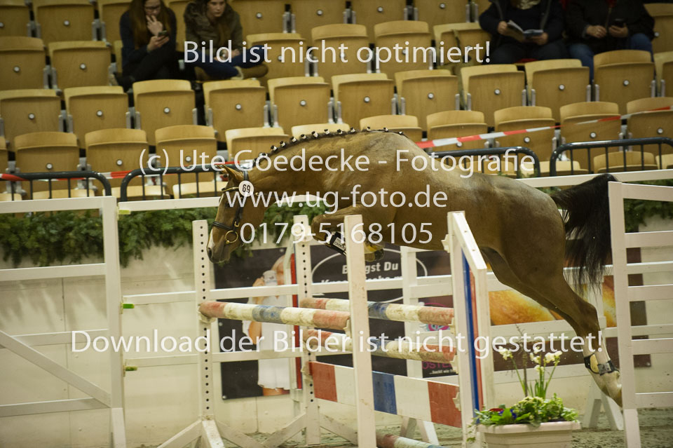 Steendieks-Dynamic_1.jpg