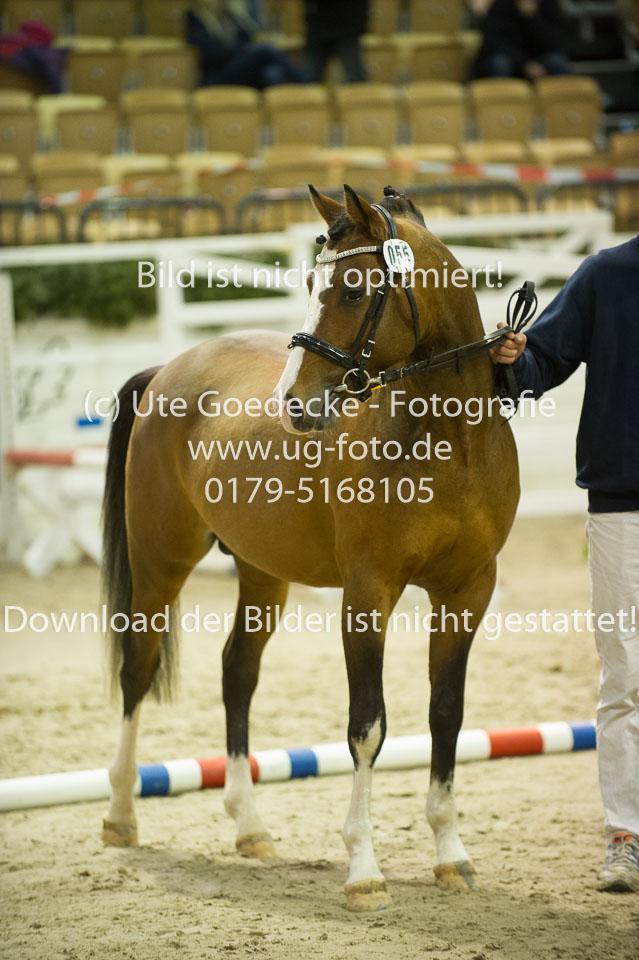 Timms-My-Fritz_01.jpg