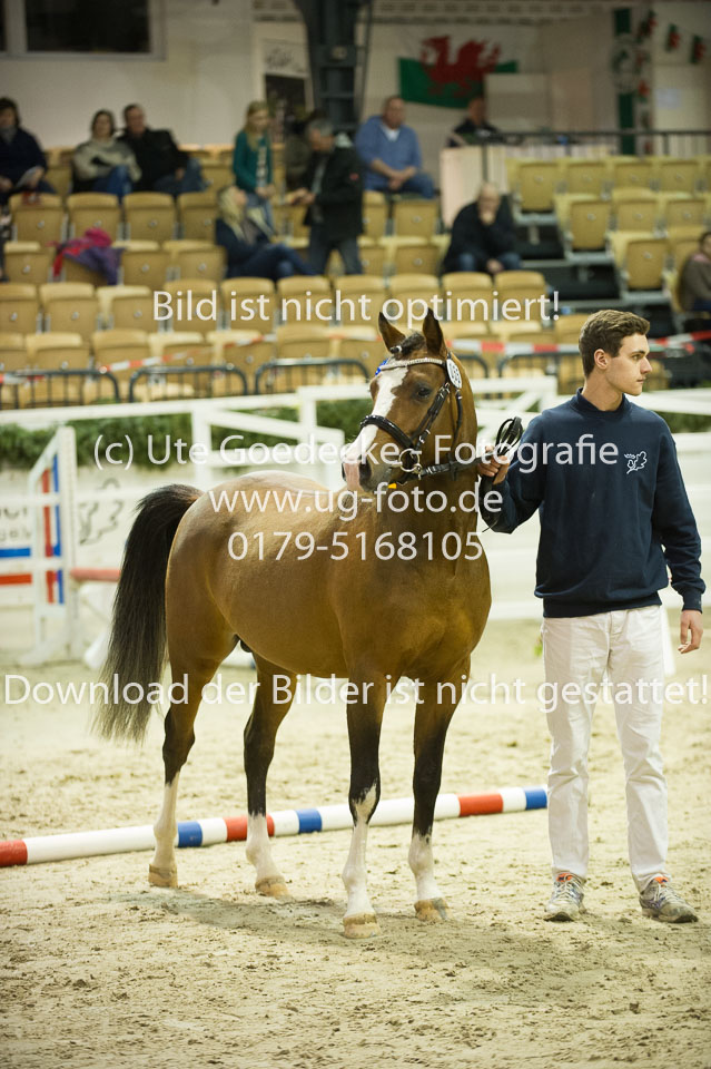 Timms-My-Fritz_02.jpg