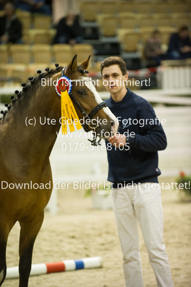 Timms-My-Fritz_03.jpg