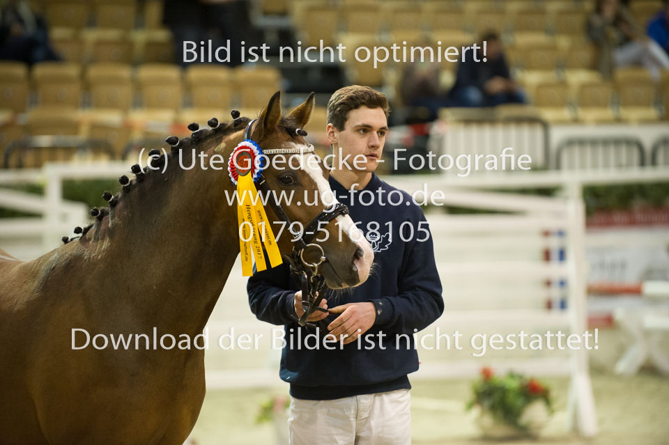Timms-My-Fritz_04.jpg