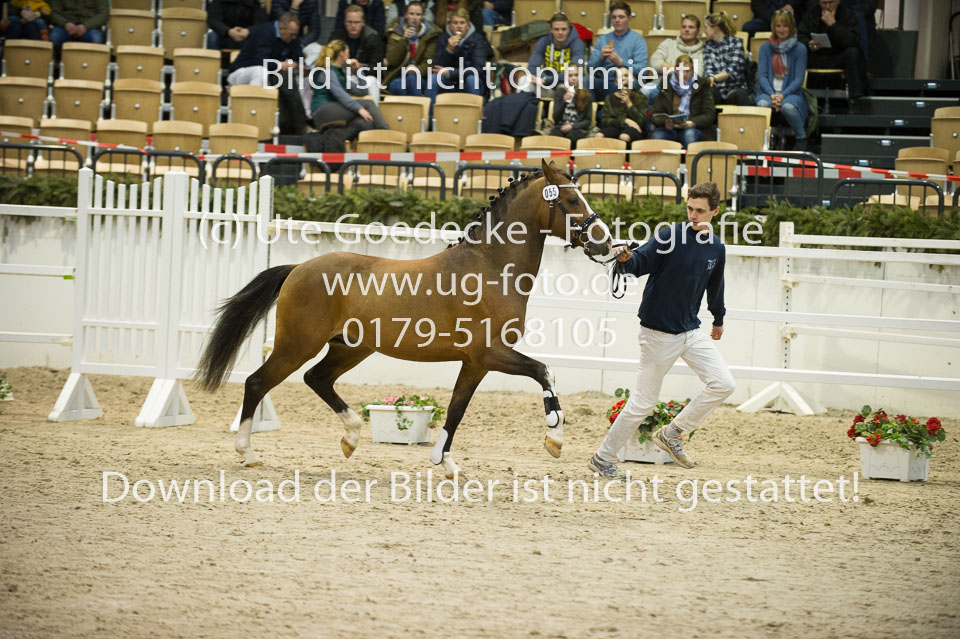 Timms-My-Fritz_07.jpg