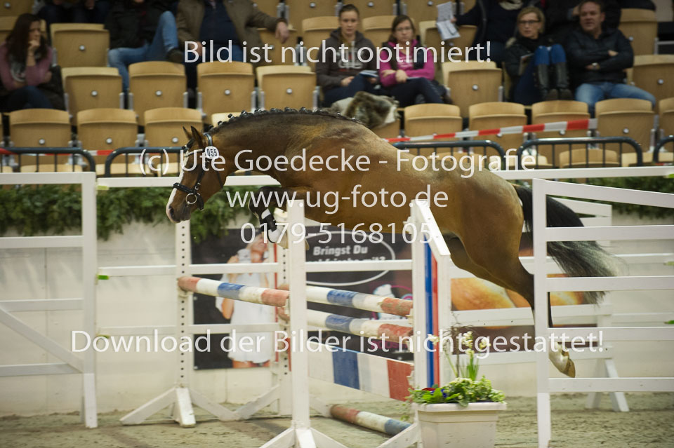 Timms-My-Fritz_08.jpg