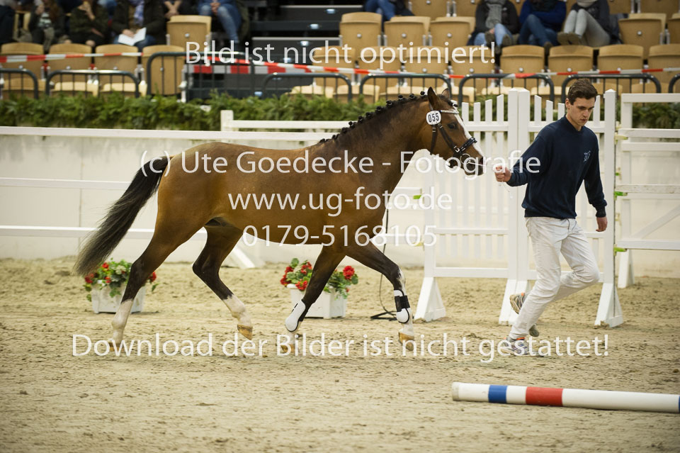 Timms-My-Fritz_09.jpg