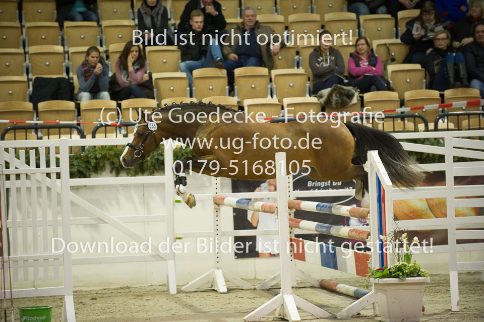 Timms-My-Fritz_11.jpg