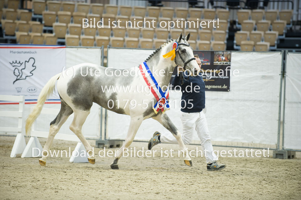 UG0_0018.jpg