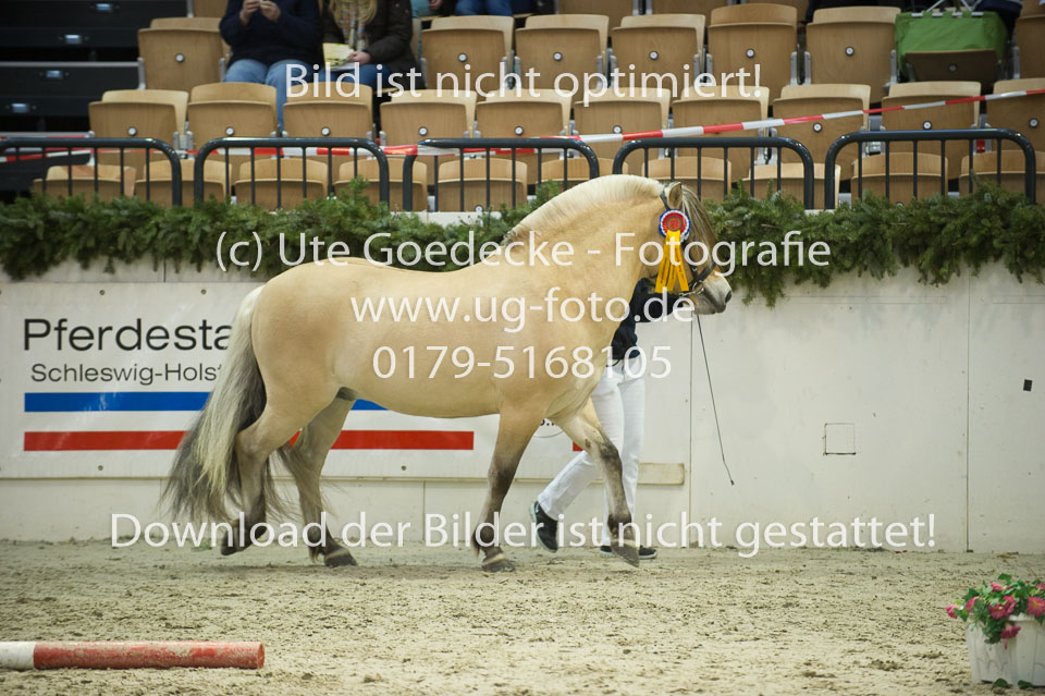 UG0_9397.jpg