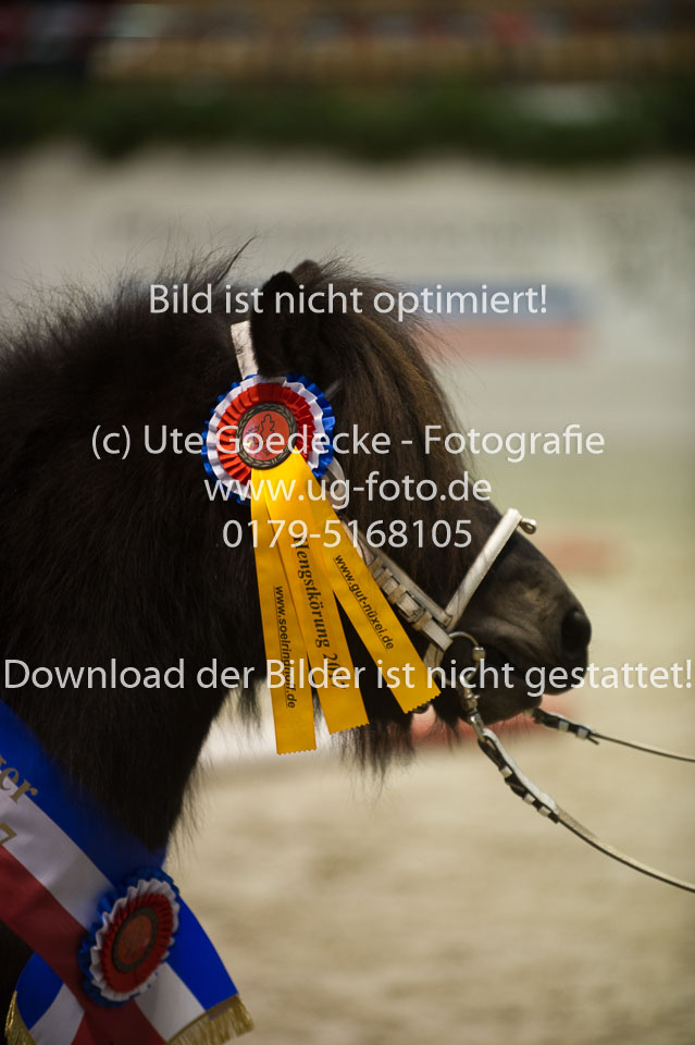 Veit-von-der-Haner-Au_16.jpg