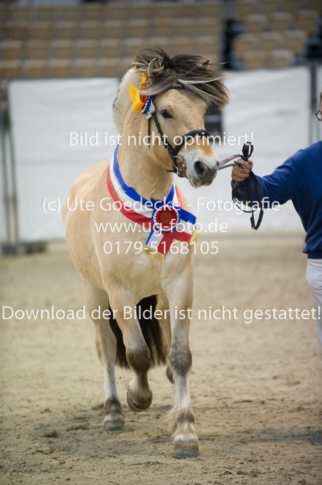 Viking_22.jpg