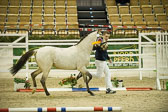 Grenzhoehes-Drago_25.jpg