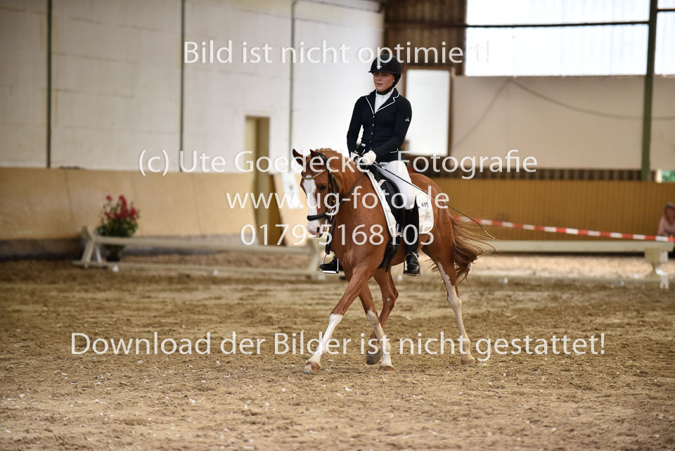 26.8.2017---Dressur-KL-M-12.jpg