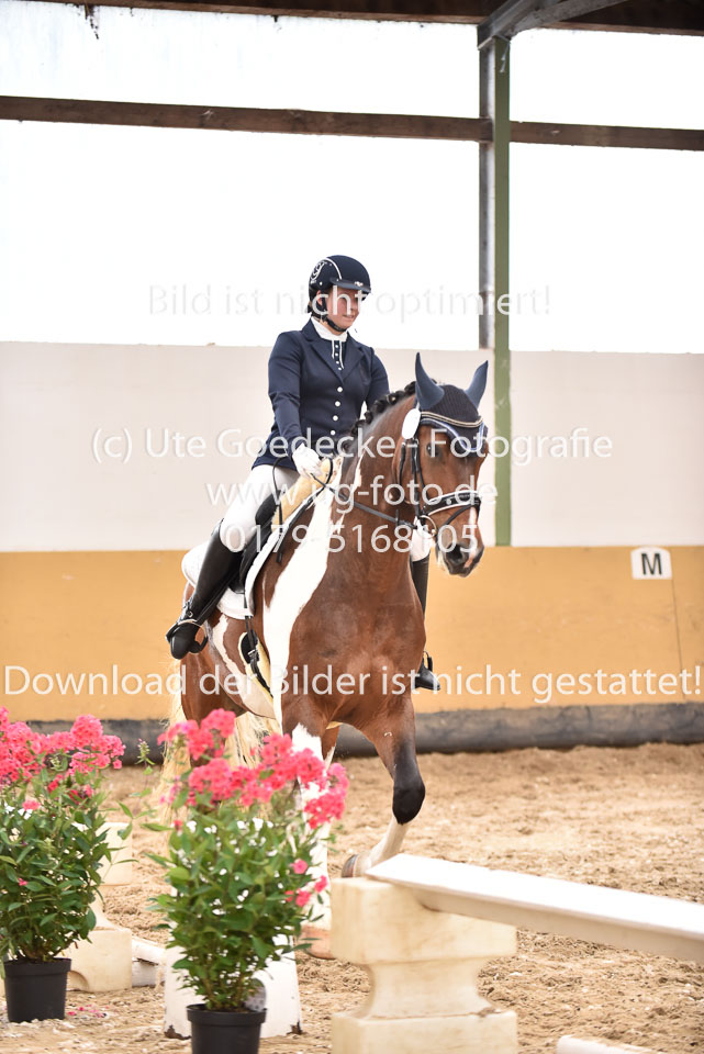 26.8.2017---Dressur-KL-M-70.jpg