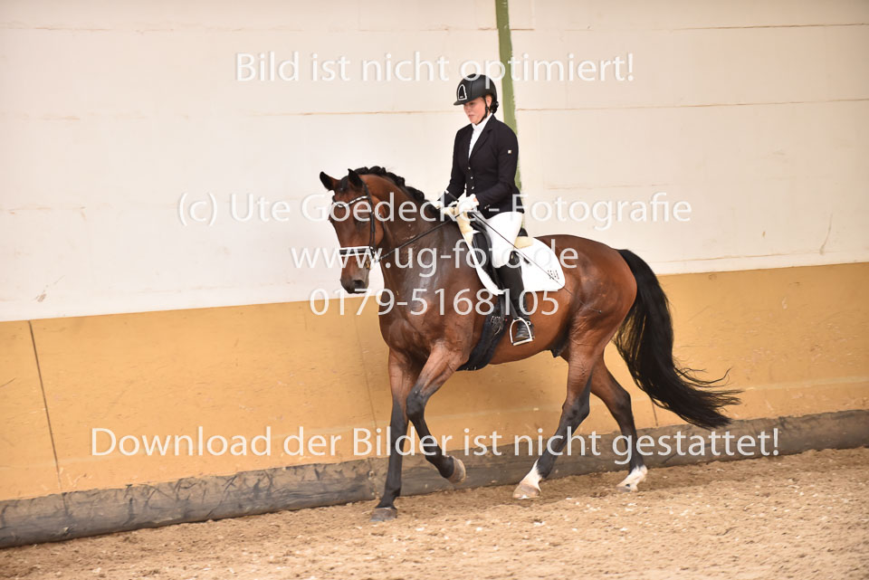 26.8.2017---Dressur-KL-M-98.jpg