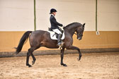Dressur Kl M - Trense