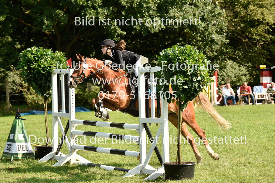 25.8.2017---E---Stilspringen--137.jpg