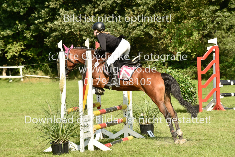 25.8.2017---E---Stilspringen--152.jpg