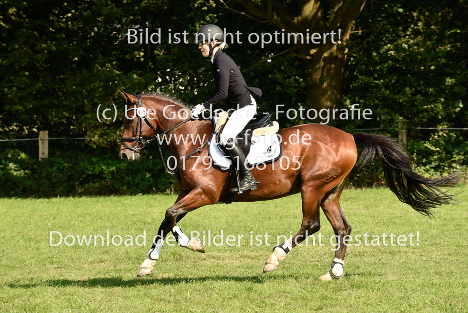 25.8.2017---E---Stilspringen--158.jpg