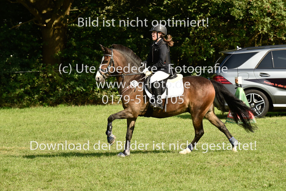 25.8.2017---E---Stilspringen--171.jpg