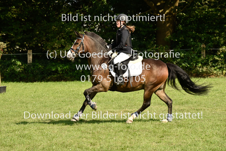 25.8.2017---E---Stilspringen--172.jpg