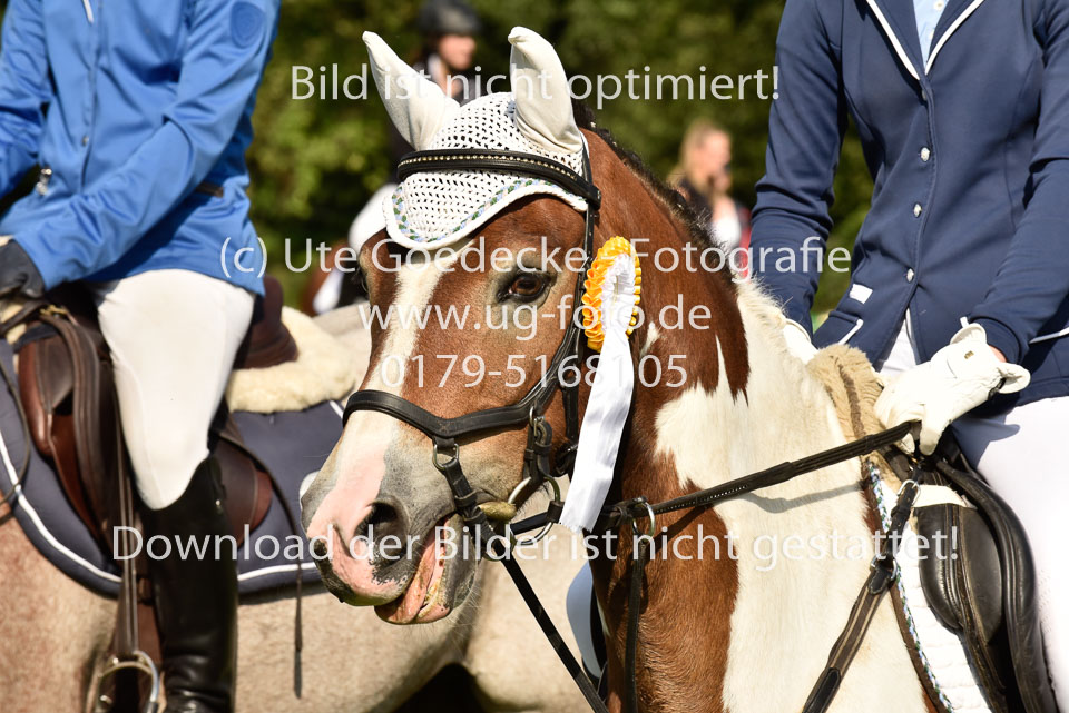 25.8.2017---E---Stilspringen--214.jpg