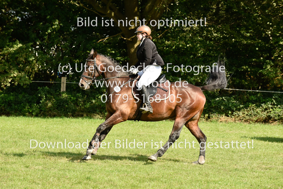 25.8.2017---E---Stilspringen--83.jpg