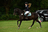 E-Stilspringen