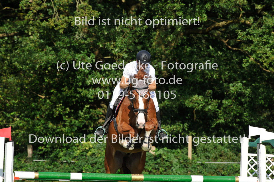 25.8.2017---L---Springen--12.jpg