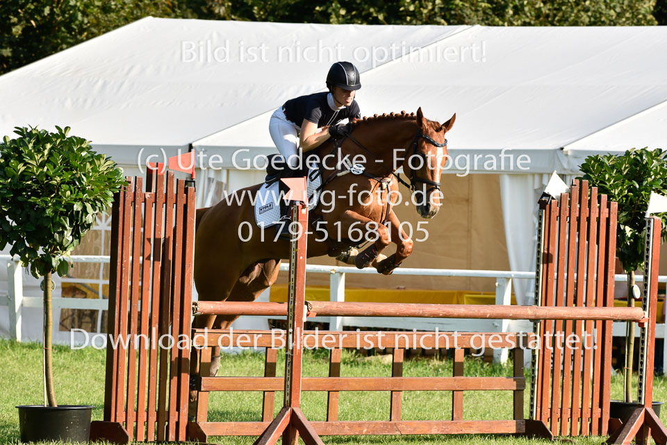 25.8.2017---L---Springen--126.jpg