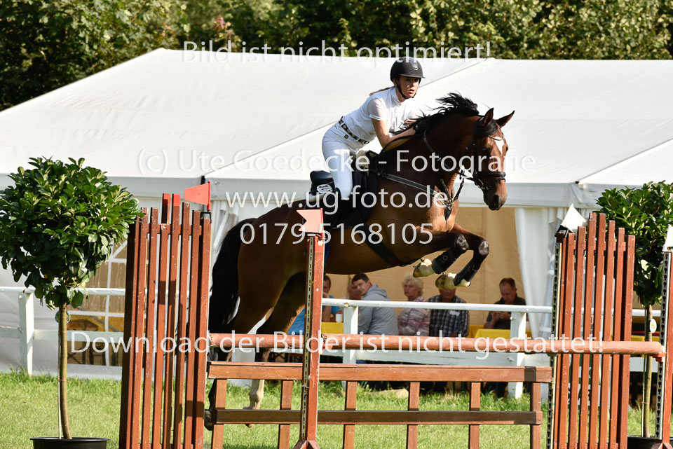 25.8.2017---L---Springen--59.jpg