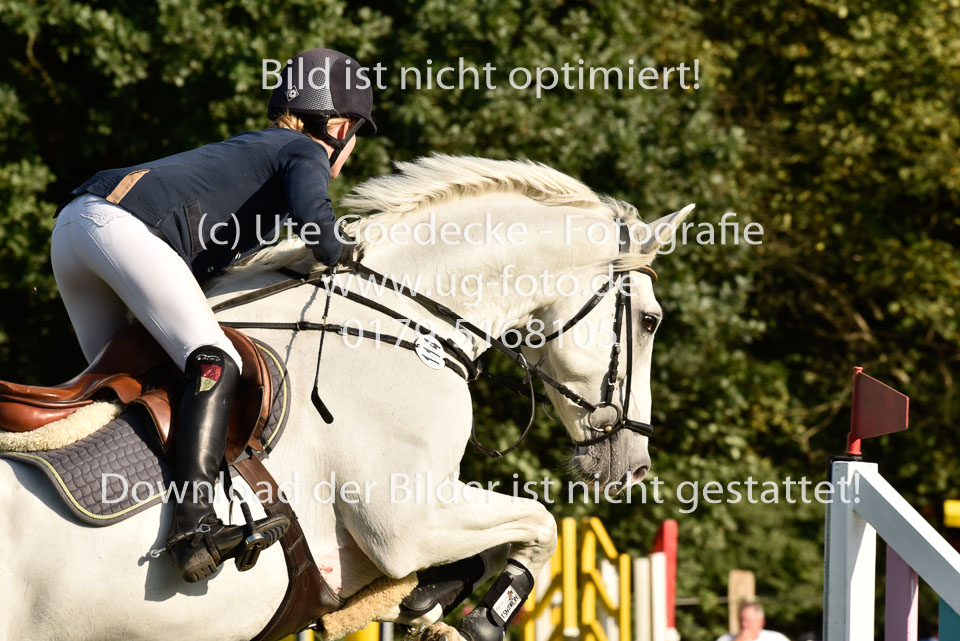 25.8.2017---L---Springen--90.jpg