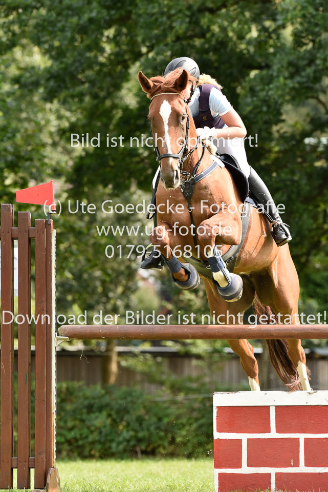 26.8.2017---Punktespringen-Kl-A-17.jpg