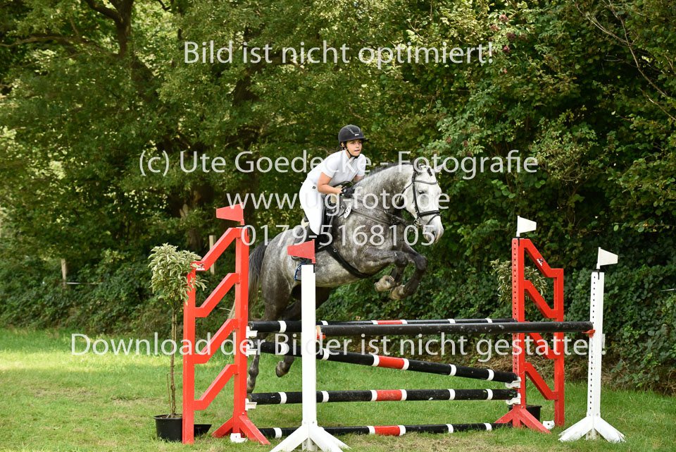 26.8.2017---Punktespringen-Kl-A-2.jpg