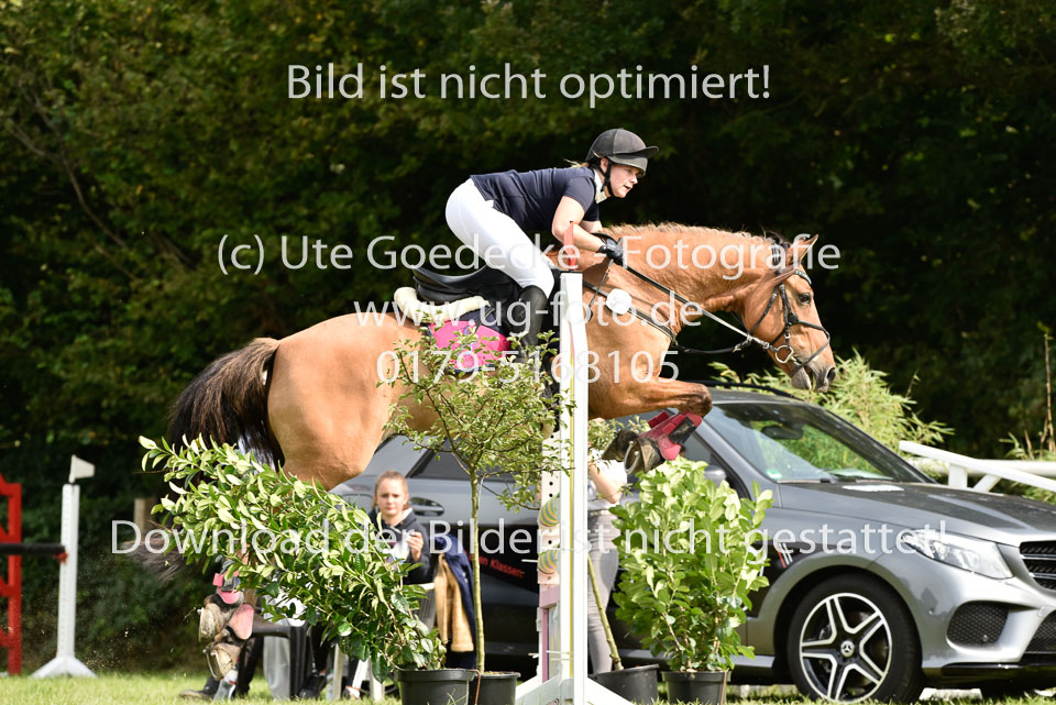 26.8.2017---Punktespringen-Kl-A-23.jpg