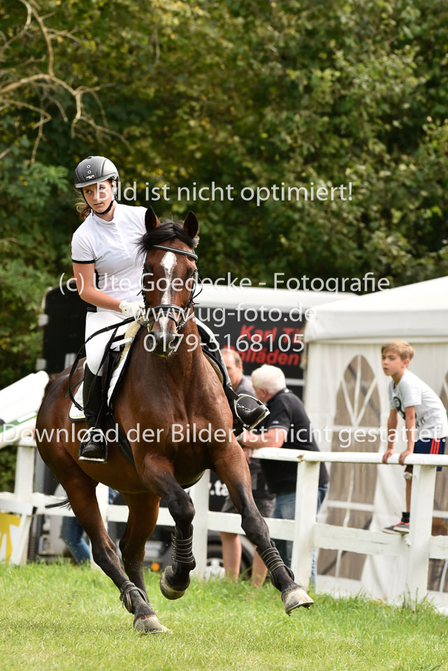 26.8.2017---Punktespringen-Kl-A-66.jpg