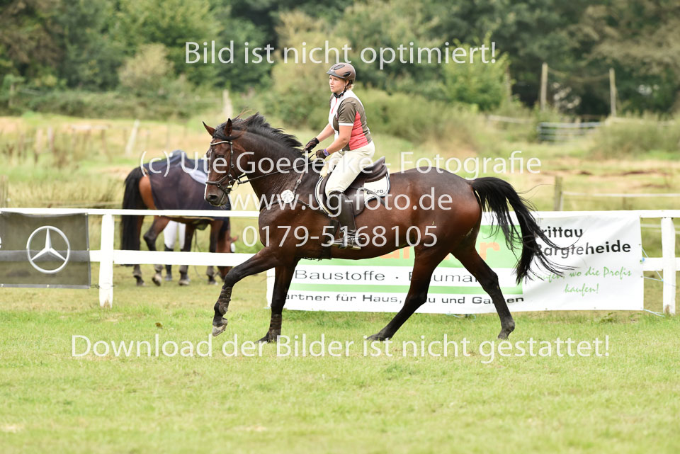 26.8.2017---Punktespringen-Kl-A-88.jpg
