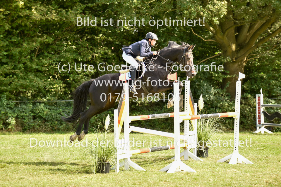 27.8.2017---Springen-KL-L-LK-3-4-46.jpg