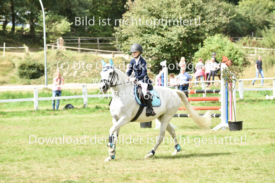 27.8.2017---Springreiter-Wettbewerb-103.jpg