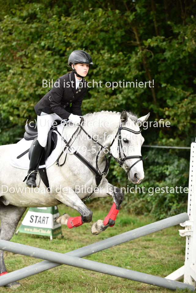 27.8.2017---Springreiter-Wettbewerb-111.jpg