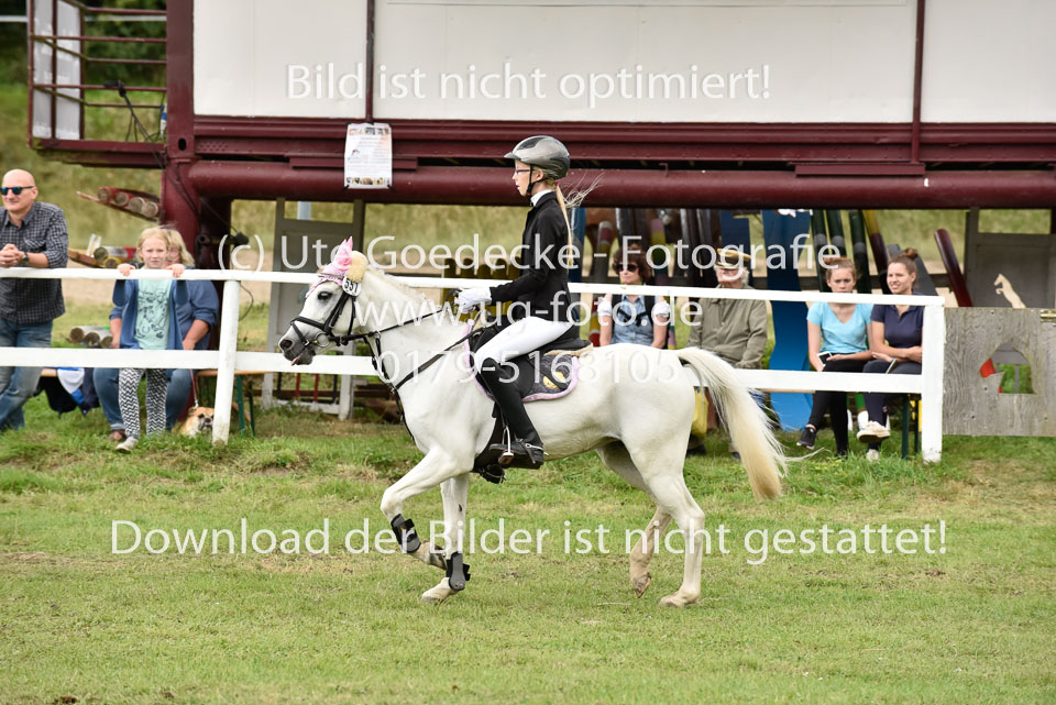 27.8.2017---Springreiter-Wettbewerb-117.jpg
