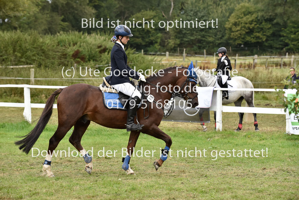 27.8.2017---Springreiter-Wettbewerb-120.jpg