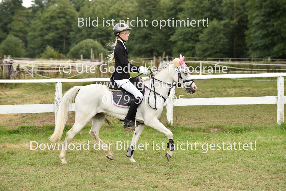 27.8.2017---Springreiter-Wettbewerb-123.jpg