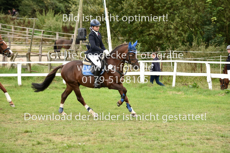 27.8.2017---Springreiter-Wettbewerb-125.jpg