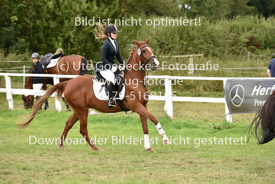 27.8.2017---Springreiter-Wettbewerb-127.jpg